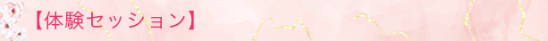 体験セッション